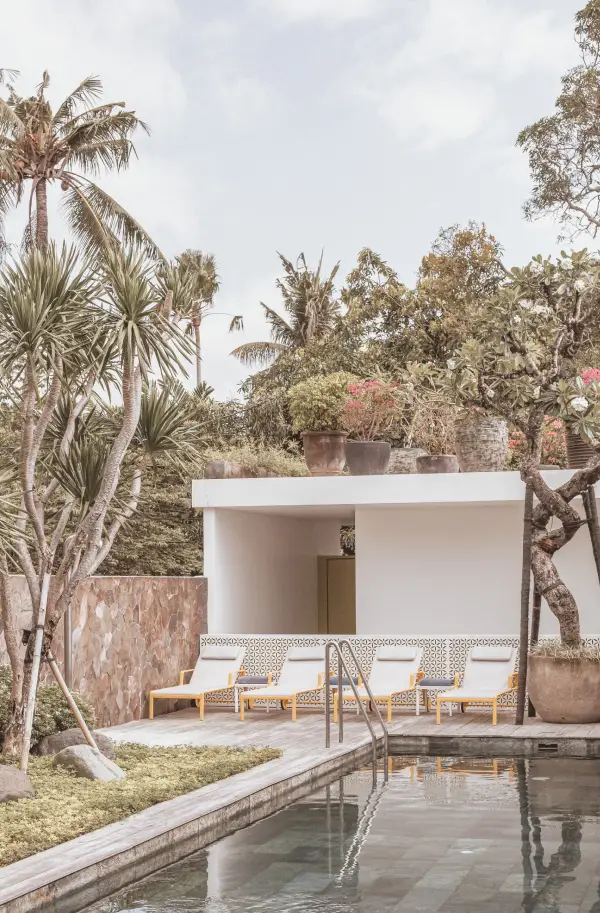 MODERN TROPICAL