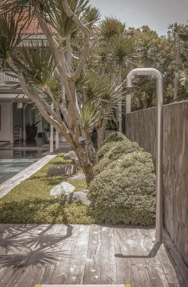 MODERN TROPICAL